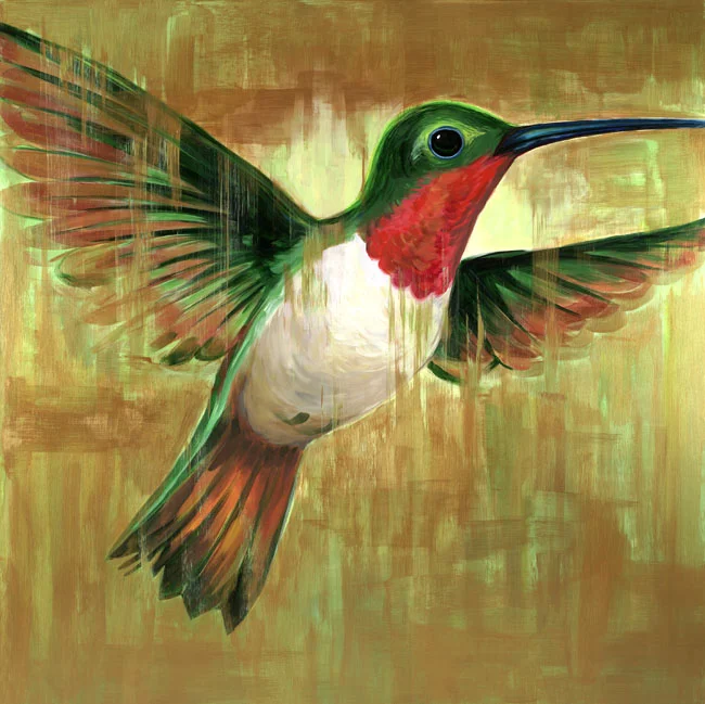 "Ruby-throated Hummingbird"