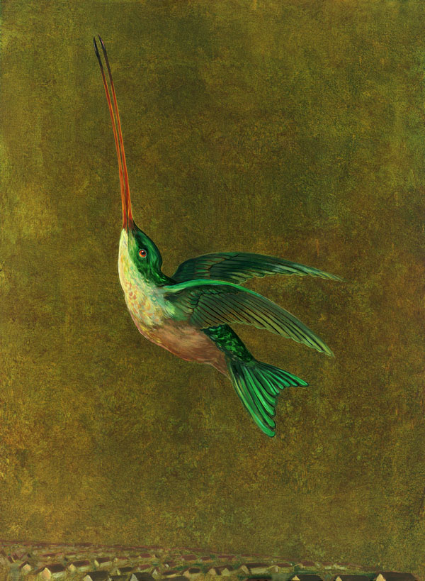 "Audubon's Hummingbird"  