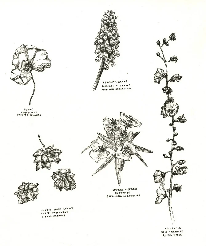 img008.jpg