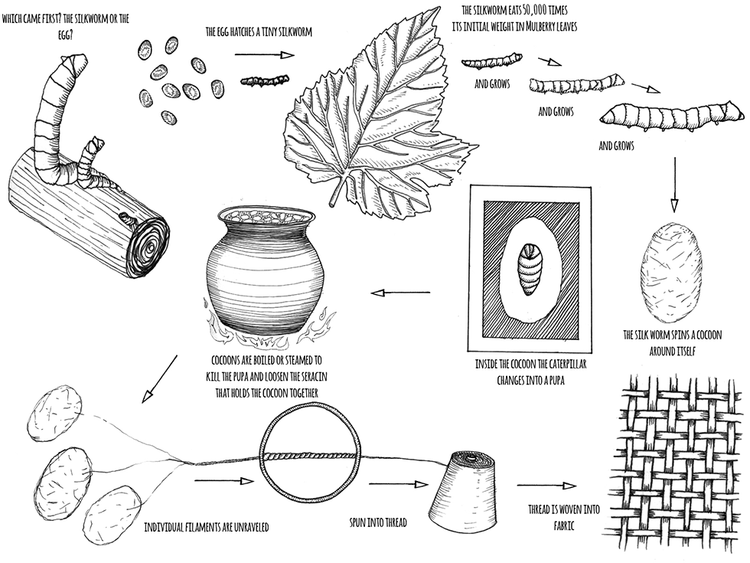 Copy of Silk Production