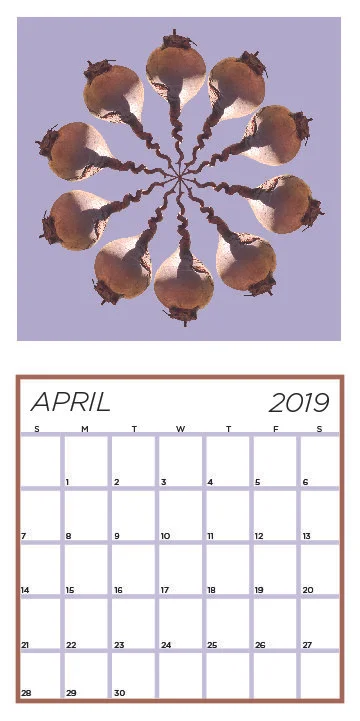 weird veg calendarcombine_april.jpg