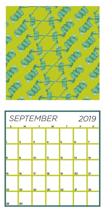 weird veg calendarcombine_sept.jpg