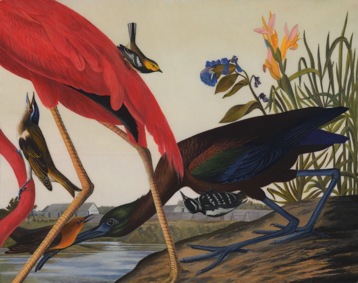  Advancements in&nbsp;Ornithology 