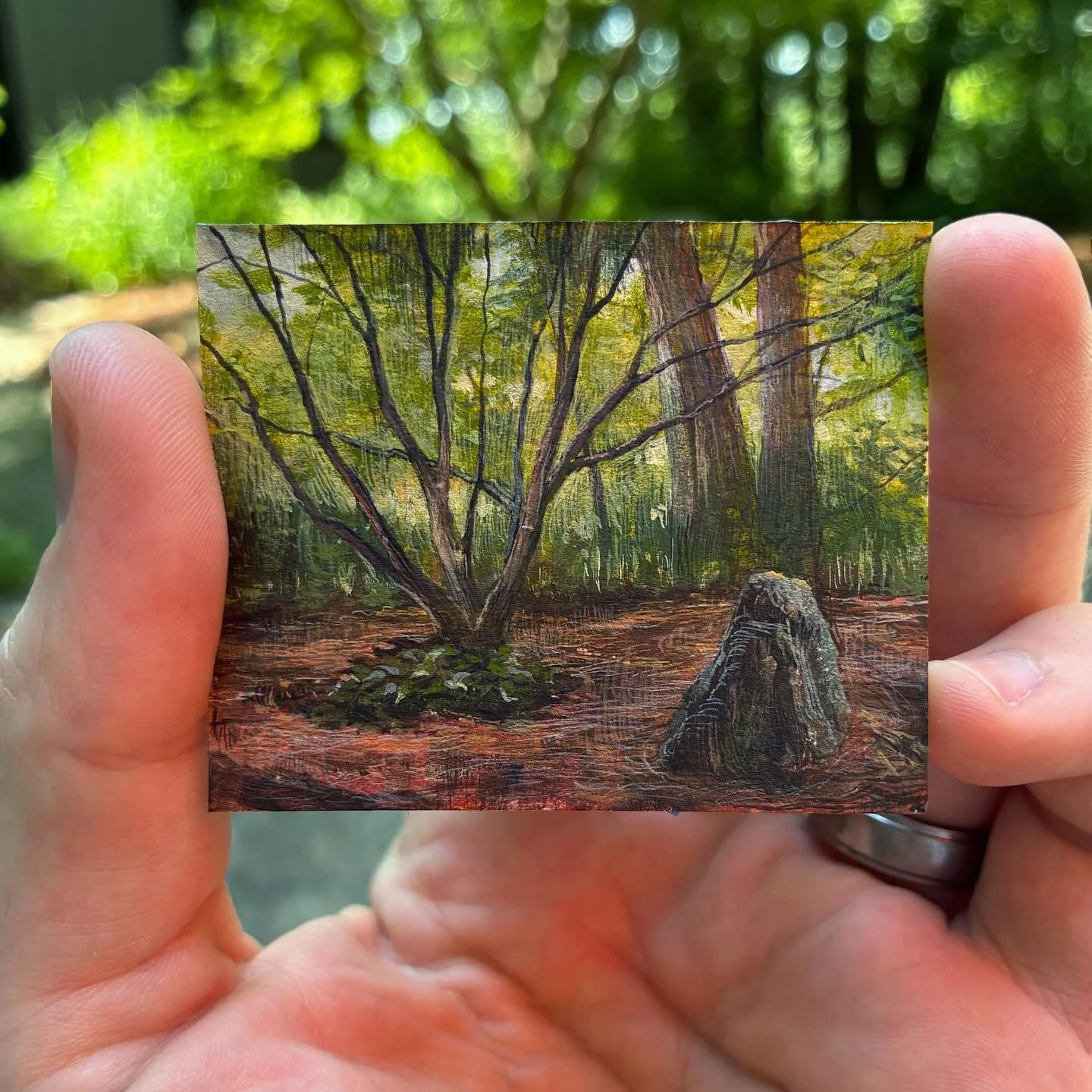 This morning&rsquo;s adventure. Thanks to @mcrietz and Mike and @cincynature for the invitation to paint.

#pleinairpainting #miniature #painting