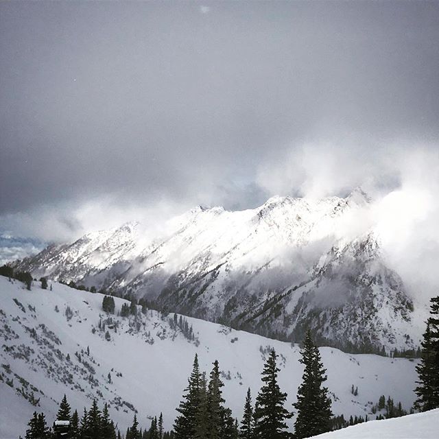 Not a bad way to finish another trip around the sun. Still a lot to learn after all these laps. @altaskiarea @scottfreeski @dakine_ski #beer #kasperthegaper
