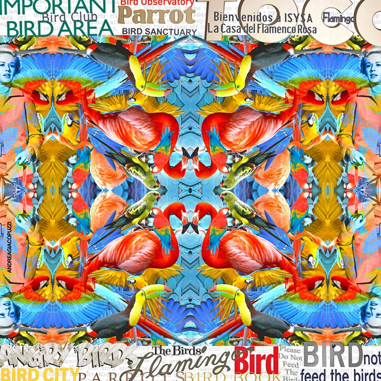 BIRDS.jpg