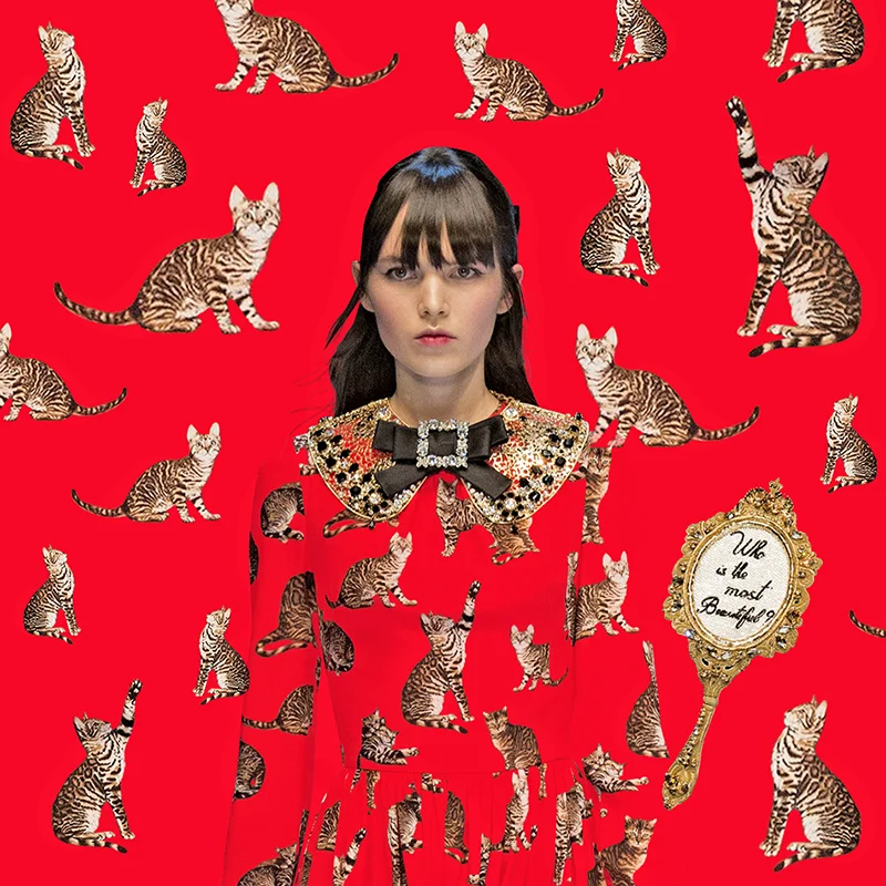 DG FW1617 woman 2.jpg