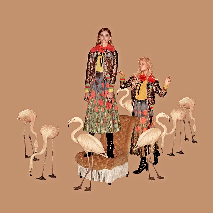 GUCCI PREFALL16 PARTY.jpg