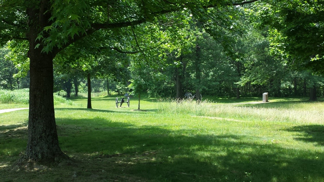 Above: Looking west towards the Confederate positions in the West Wood.
