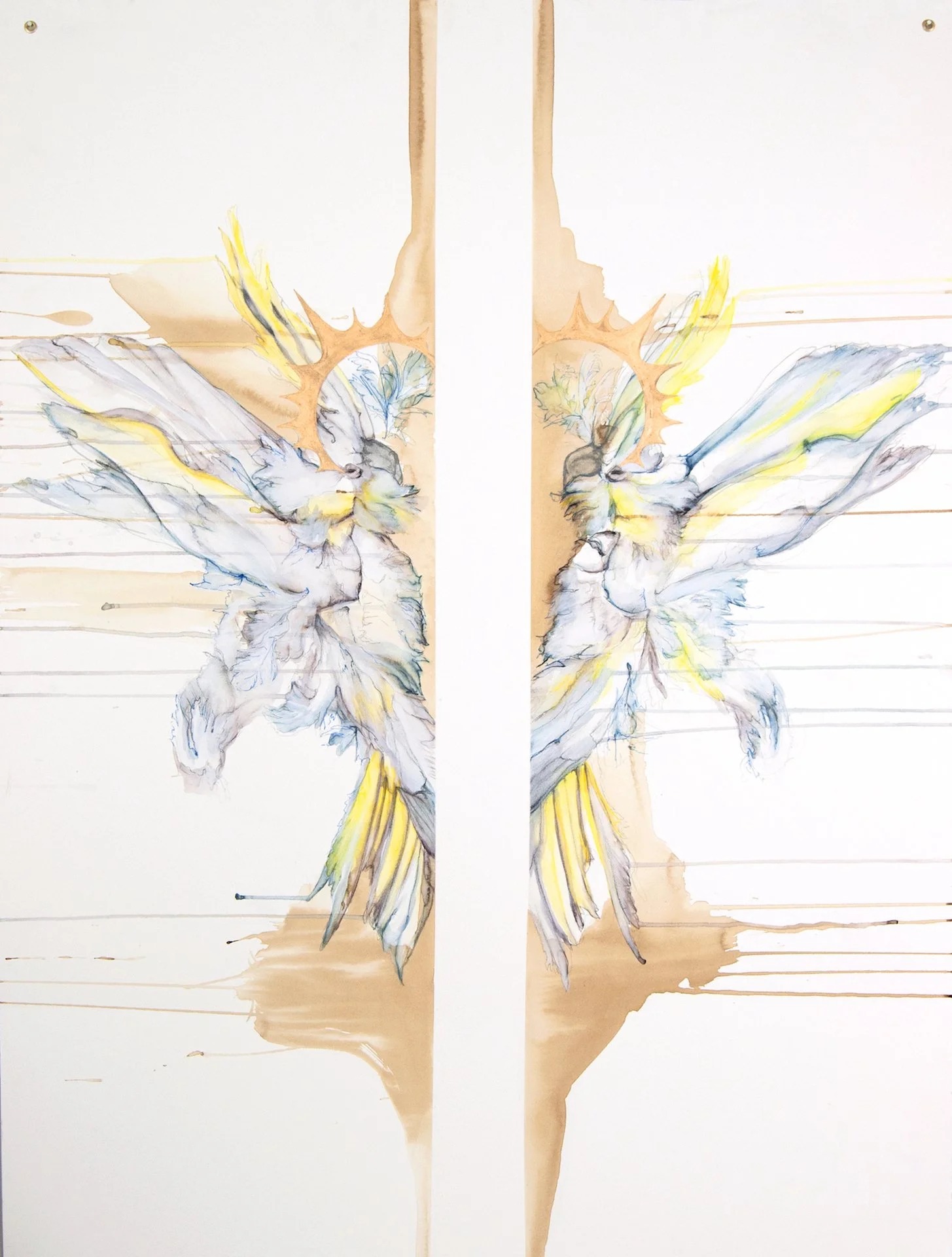 6arielle_adkin%22cockatoo%22 .jpg
