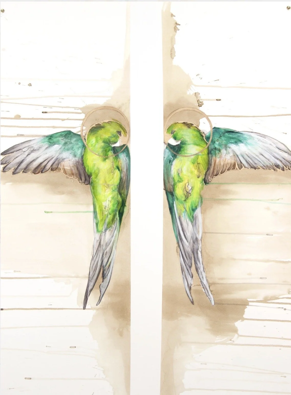 Parrots Muerto
