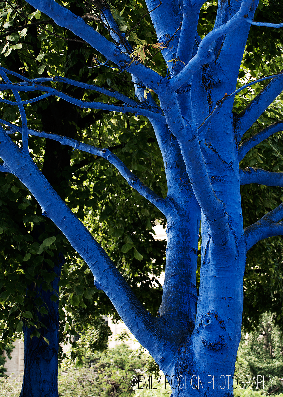 London-014.png