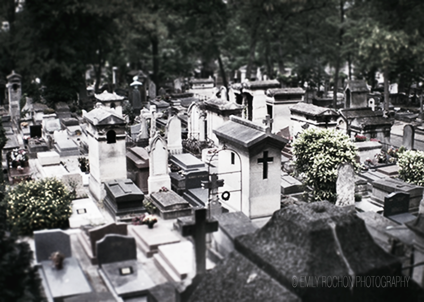 Paris-026.png