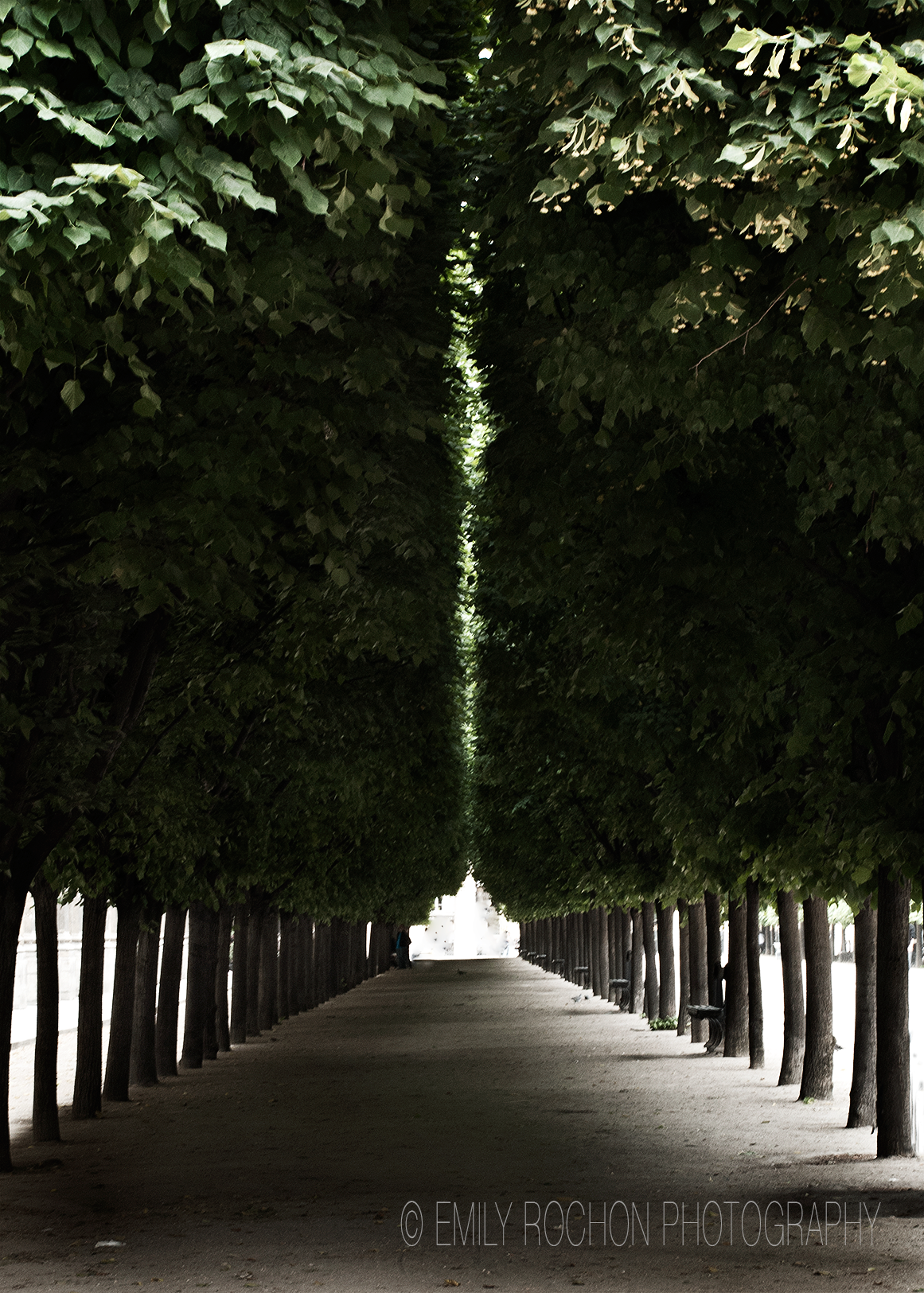 Paris-052.png