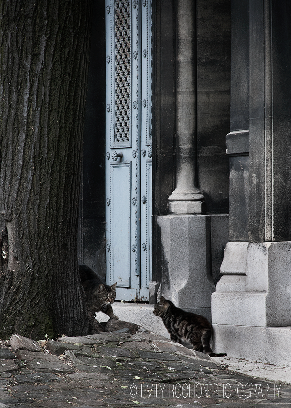 Paris-054.png