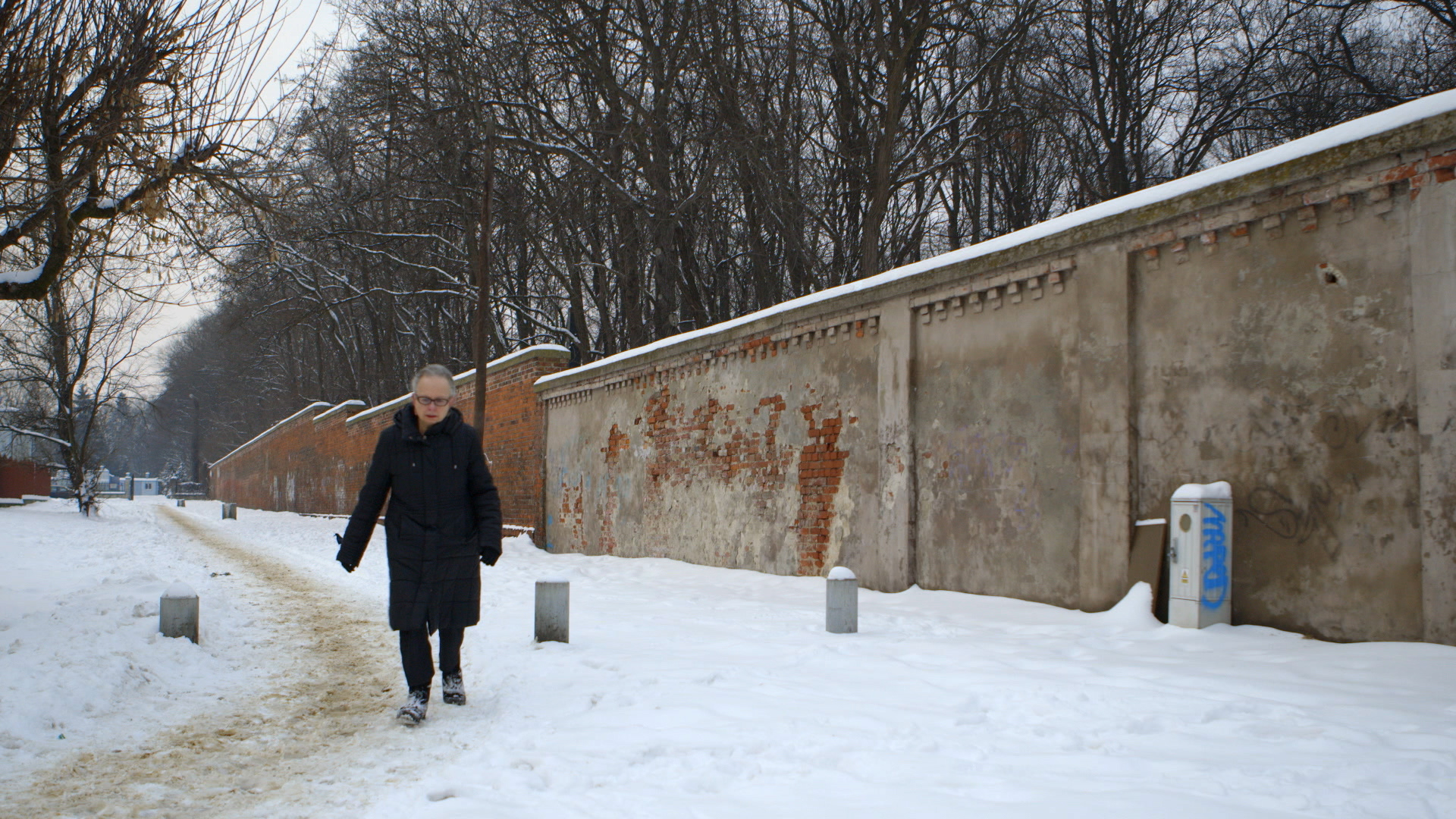 Still 7: Barbara Kishenblatt-Gimblatt takes the filmmakers on a tour of the old Jewish cemetery in Warsaw.