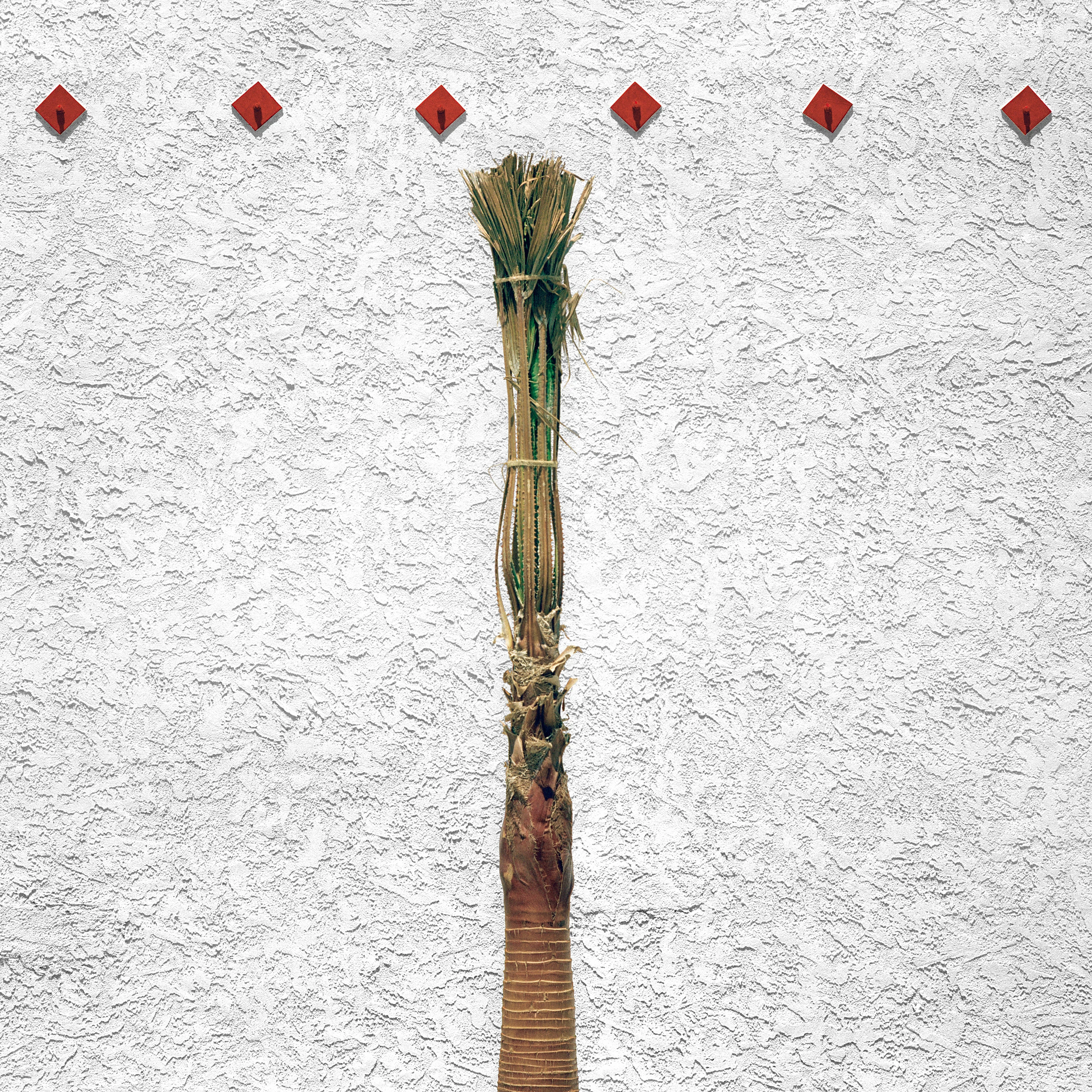 palm with red diamondsV3.jpg