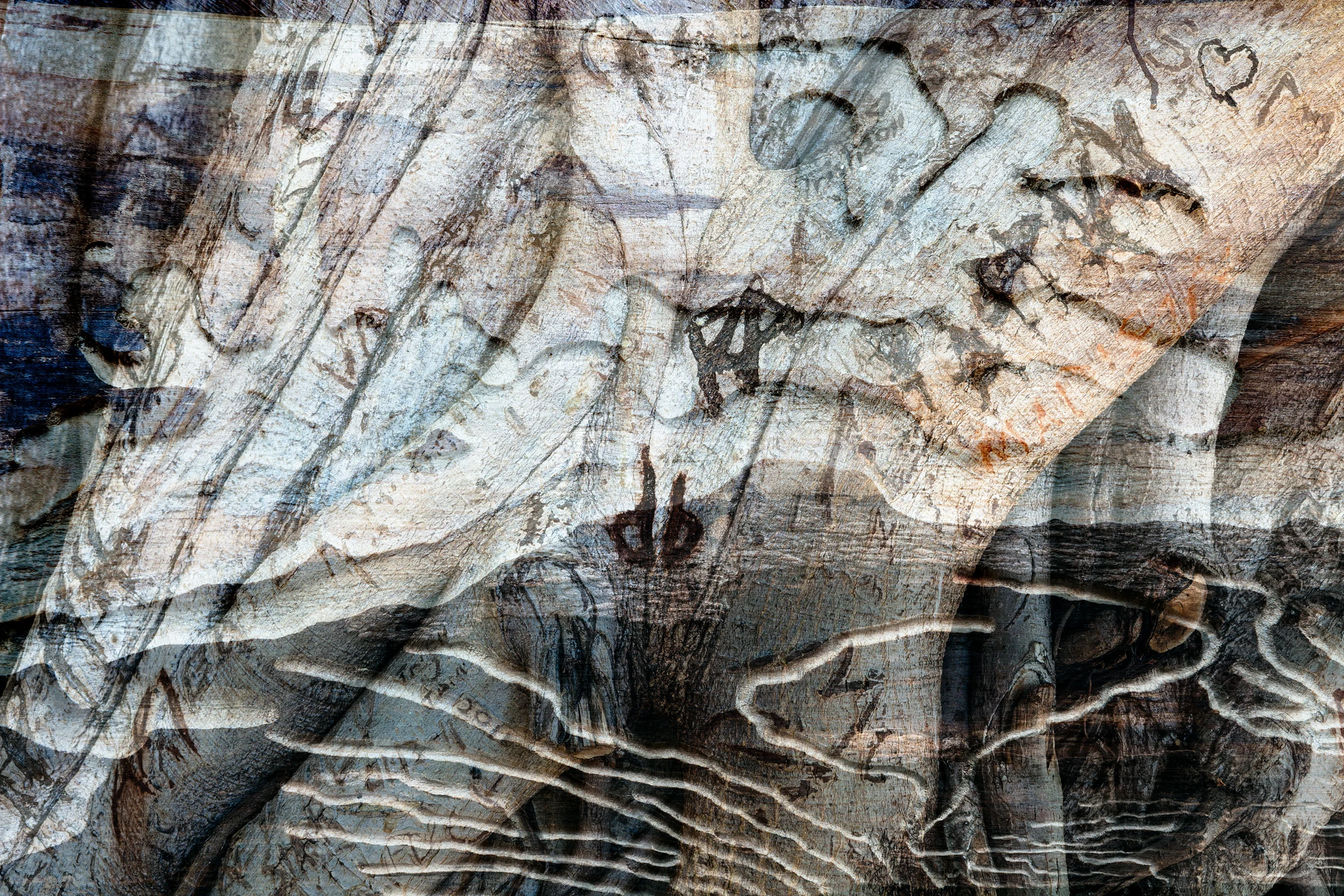 DPB_DeCompose_011.jpg