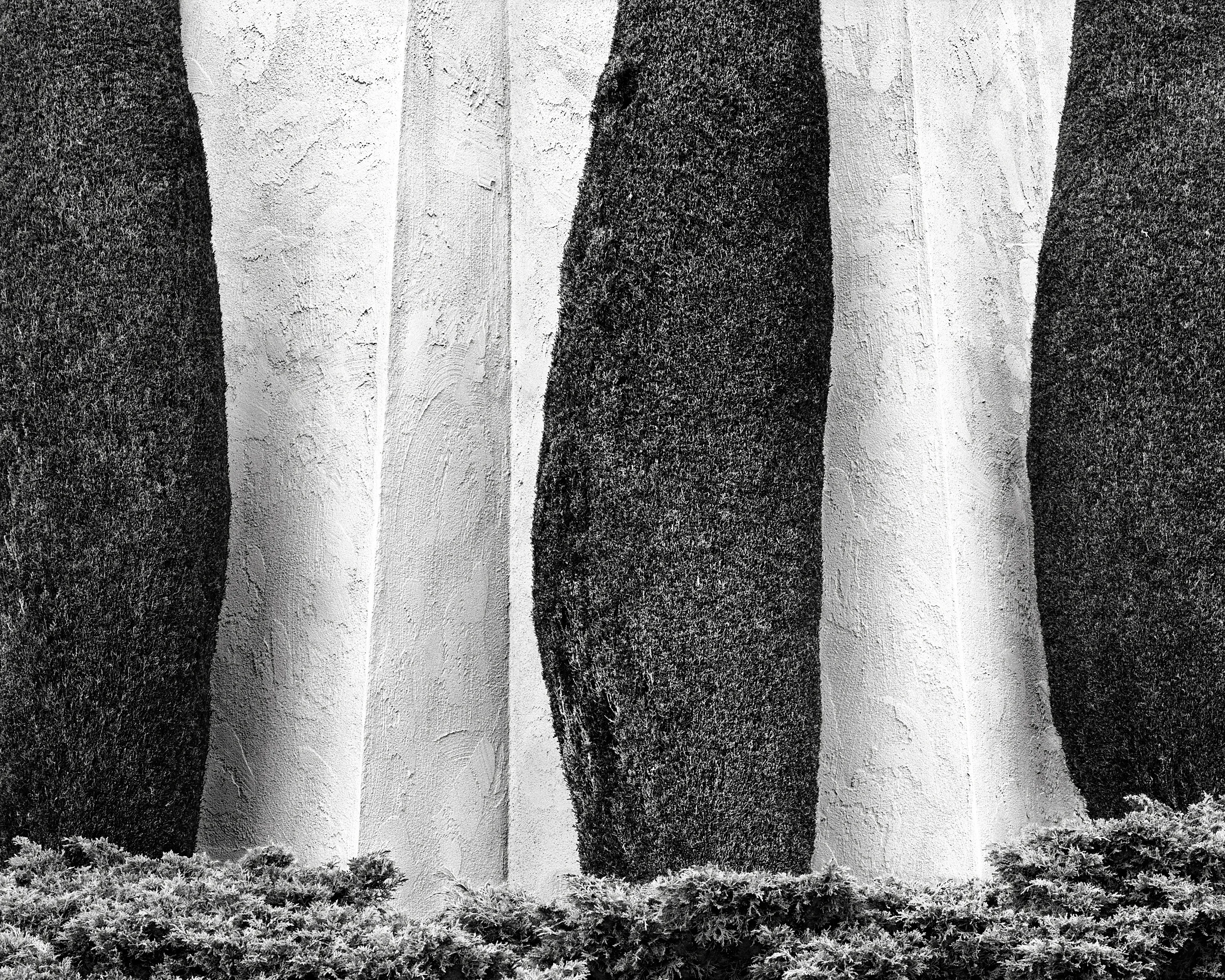 Cypress and Stucco, 1988
