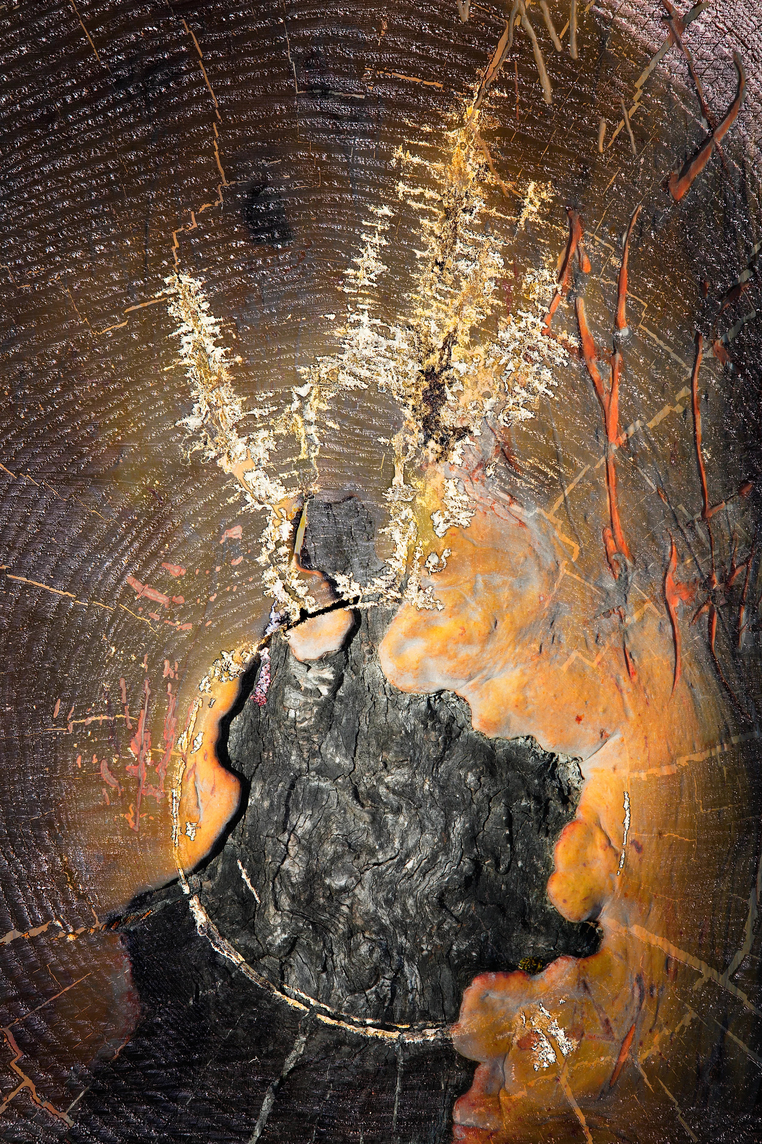 DeCompose #28, 2013