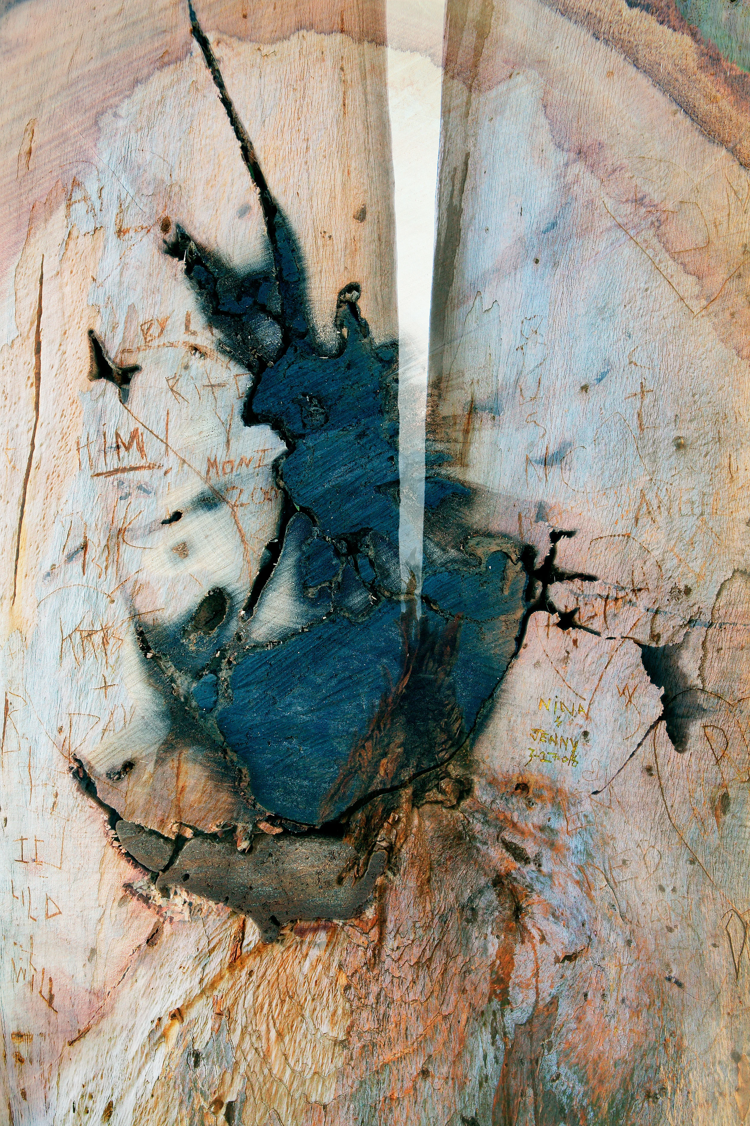 DeCompose #16, 2014