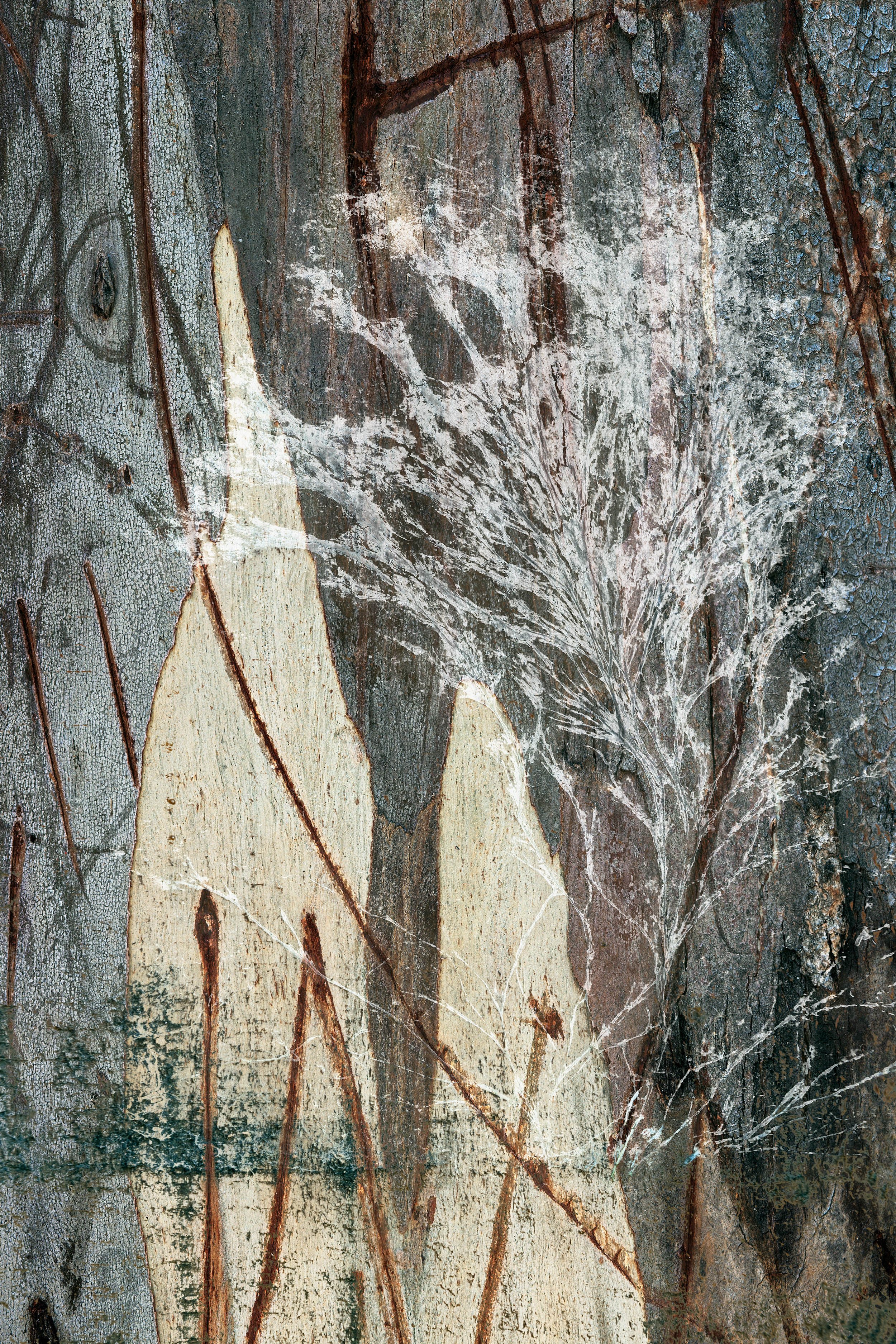 DeCompose #24, 2017