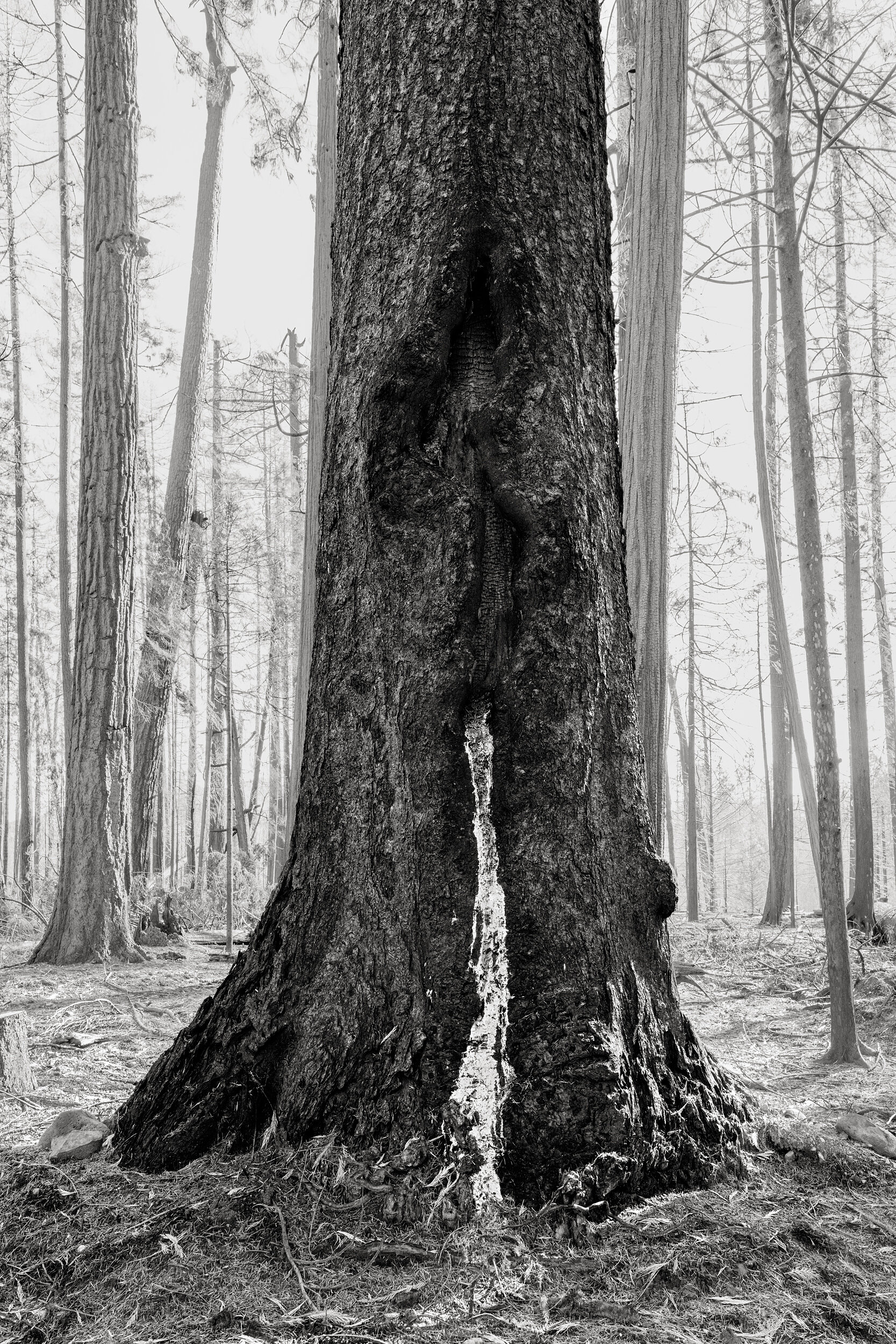 Standing,Still.  #17.jpg