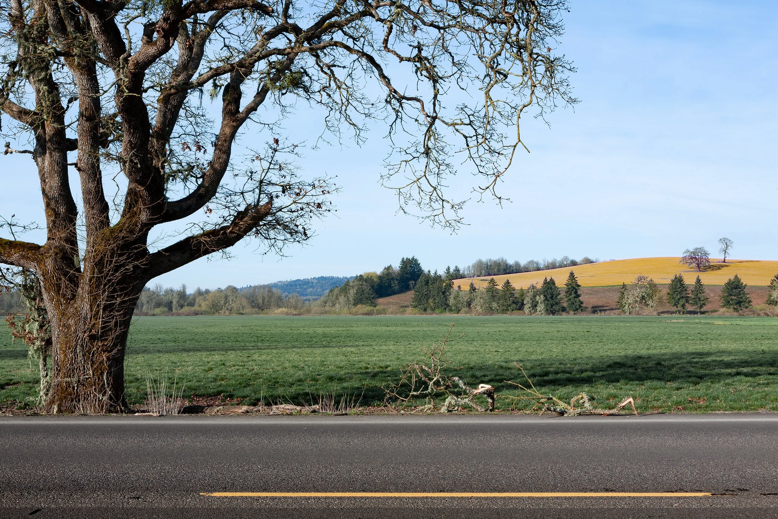 DPB_LTW_Oregon_019A.jpg