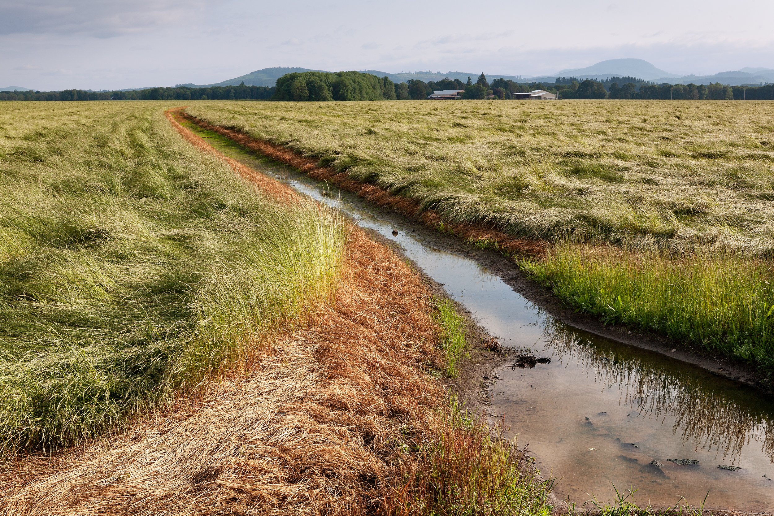 DPB_LTW_Oregon_090_3.jpg