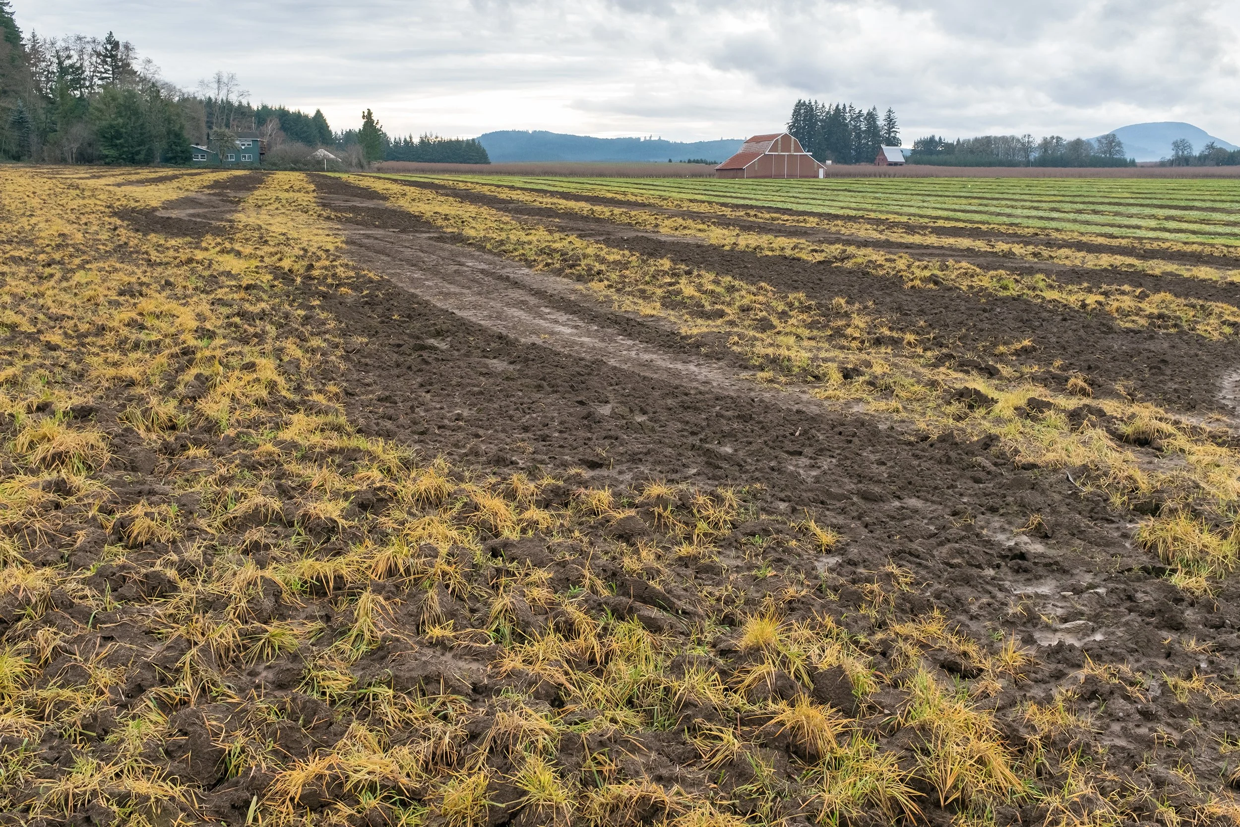 Herbicide Valley016.jpg