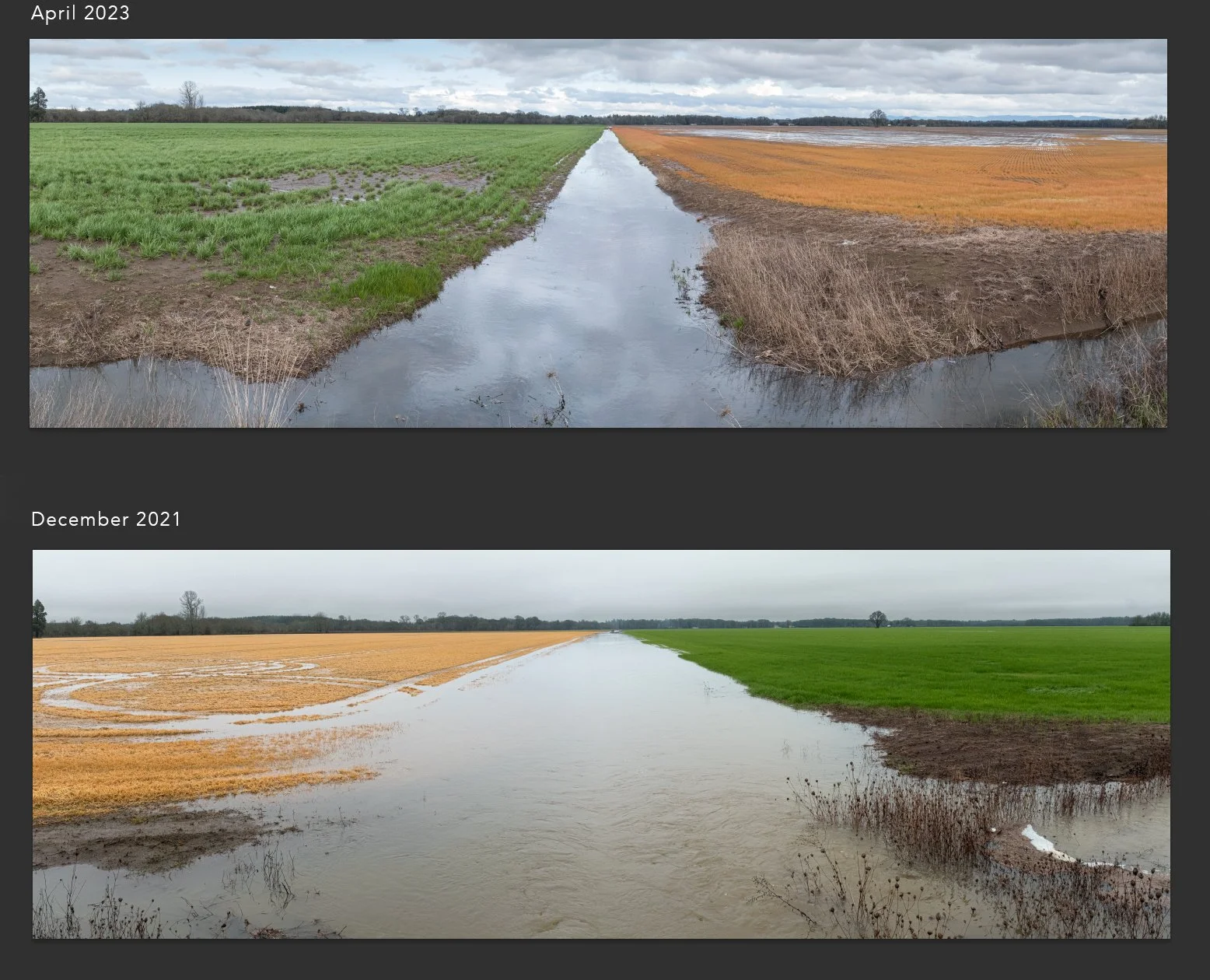 Downstream.jpg