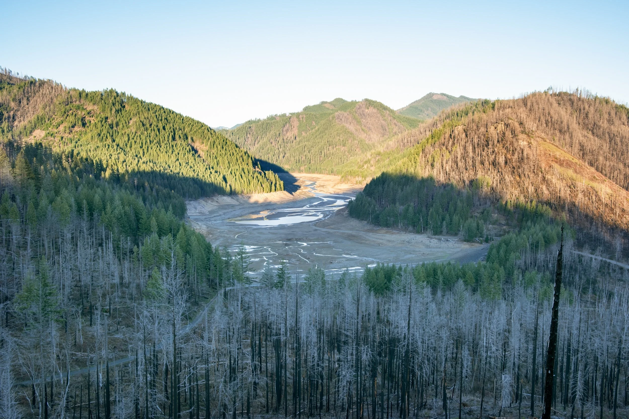 DPB_BRR_1791-PS_Edit.JPG