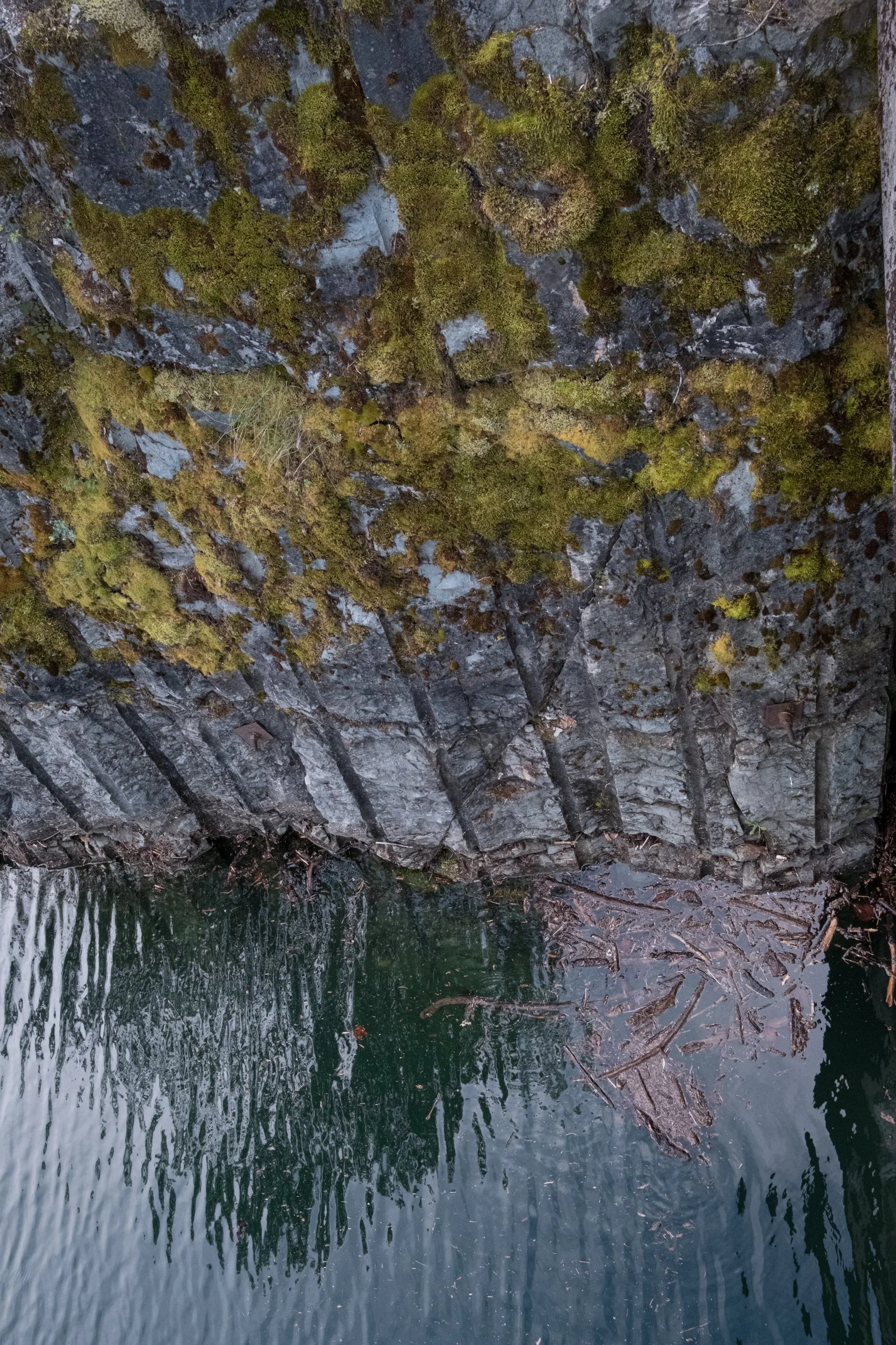 DPB_BRR_2375.JPG