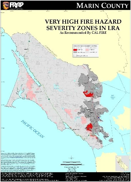 pic2.jpg