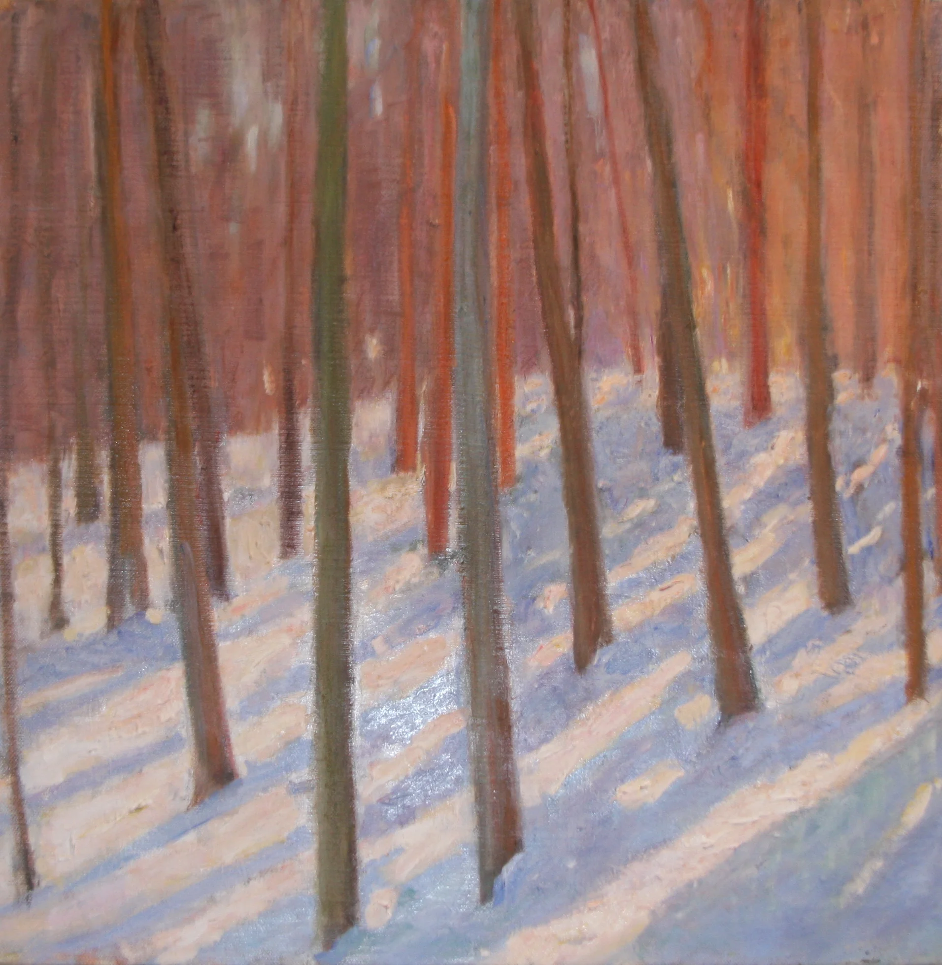 Reitzfeld_Backyard Snow.JPG