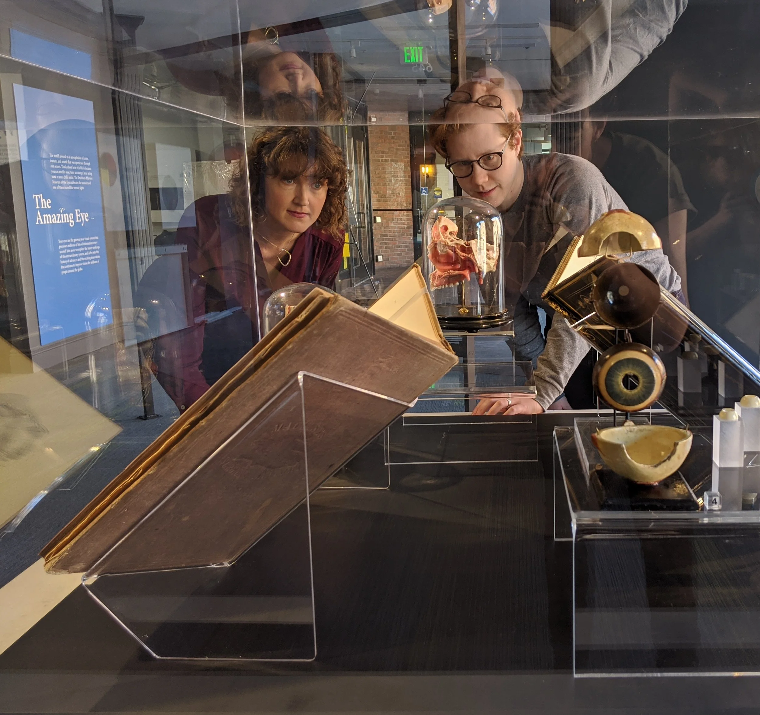 Two visitors examine historical books and anatomical eye models in a glass display case at the Museum of the Eye.