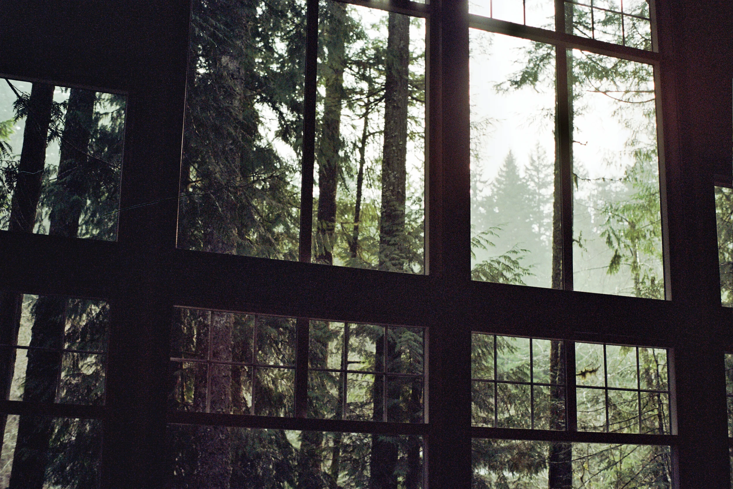 _0A_0593.jpg