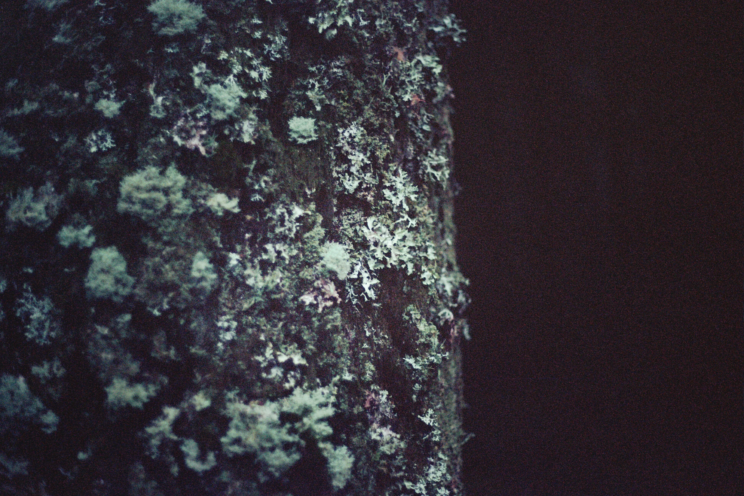 16A_0609.jpg