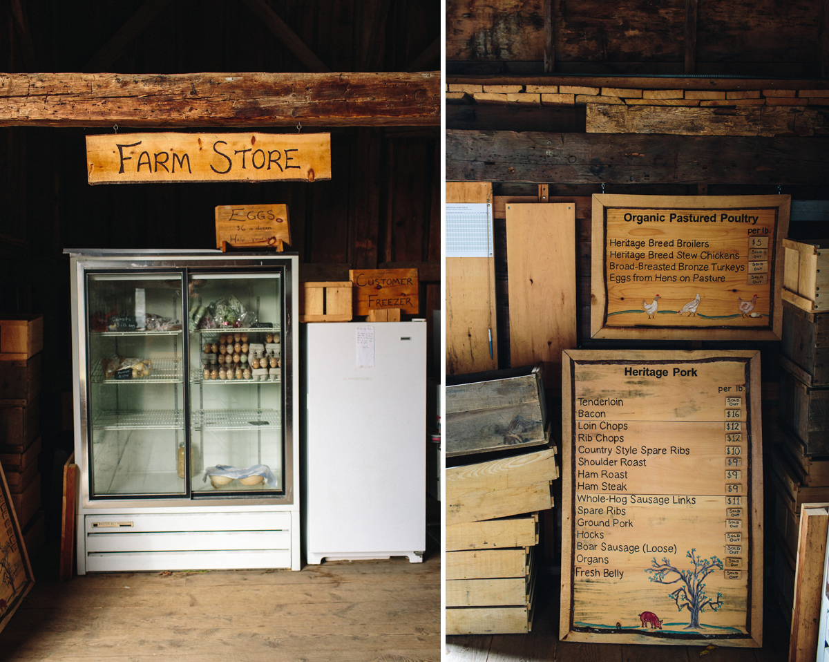 022-wedding-photography--rustic--intimate--farm--portland--maine--flannagan-farm.jpg