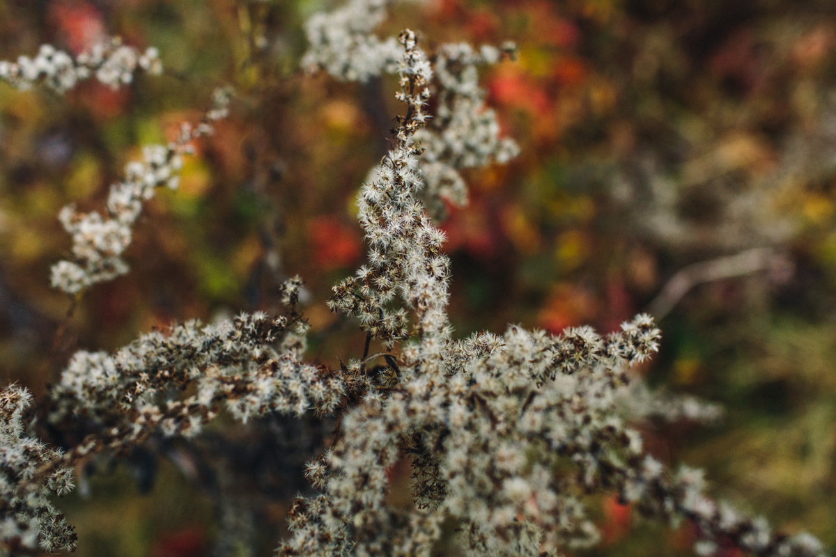 112-wedding-photography--rustic--intimate--farm--portland--maine--flannagan-farm.jpg