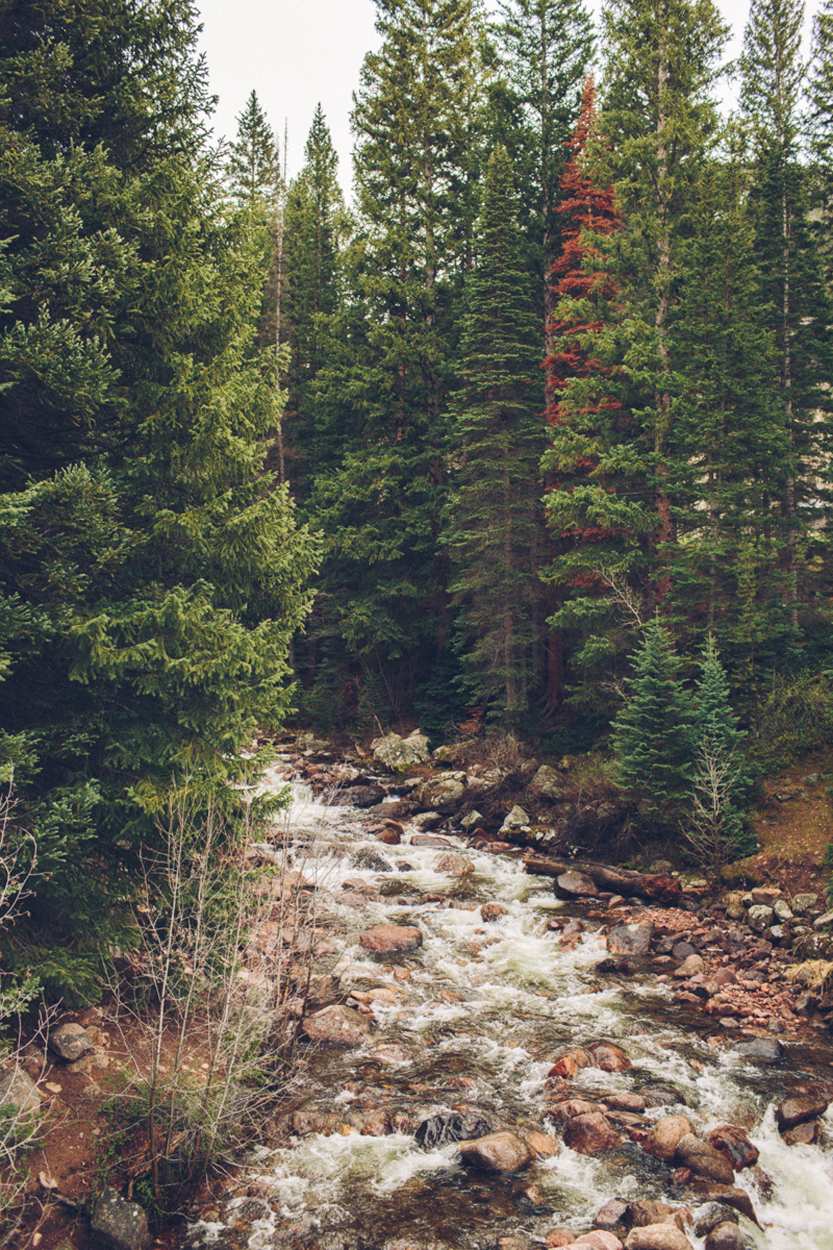 046-elopement--photography--colorado--mountain--vail--snow--intimate--wedding.jpg