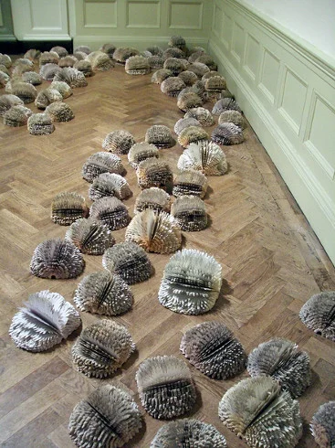 A year of trees
