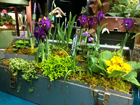 2014 NWFGS Display