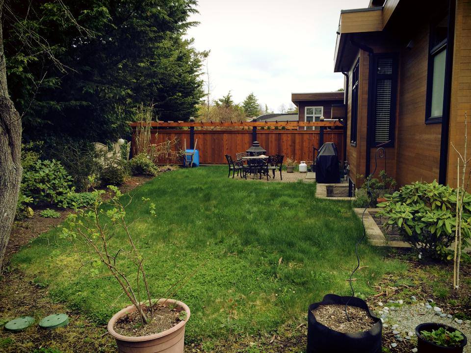 Back yard before work begins.
