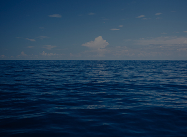 Ocean Black.jpg