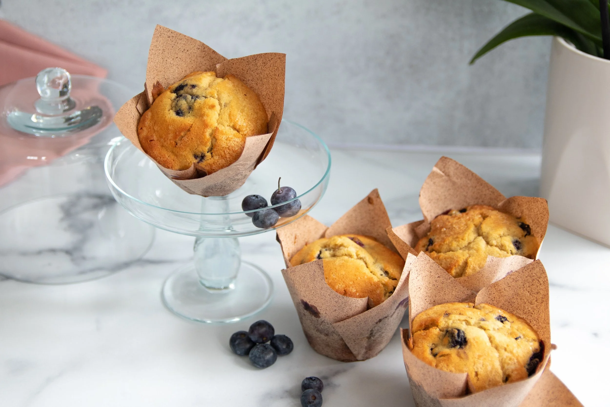 Sweet Standards photo