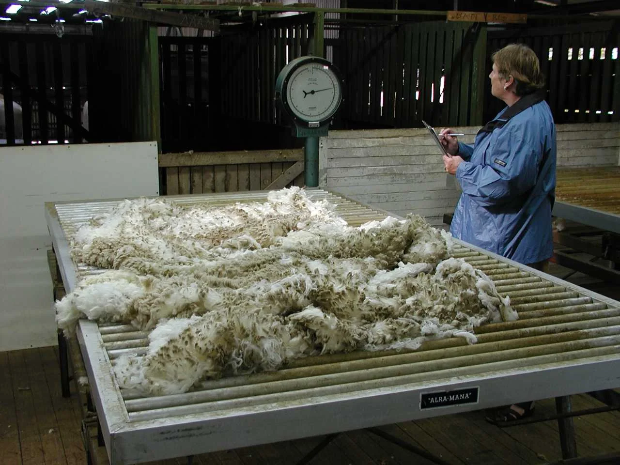 15-wool-measurement.jpg