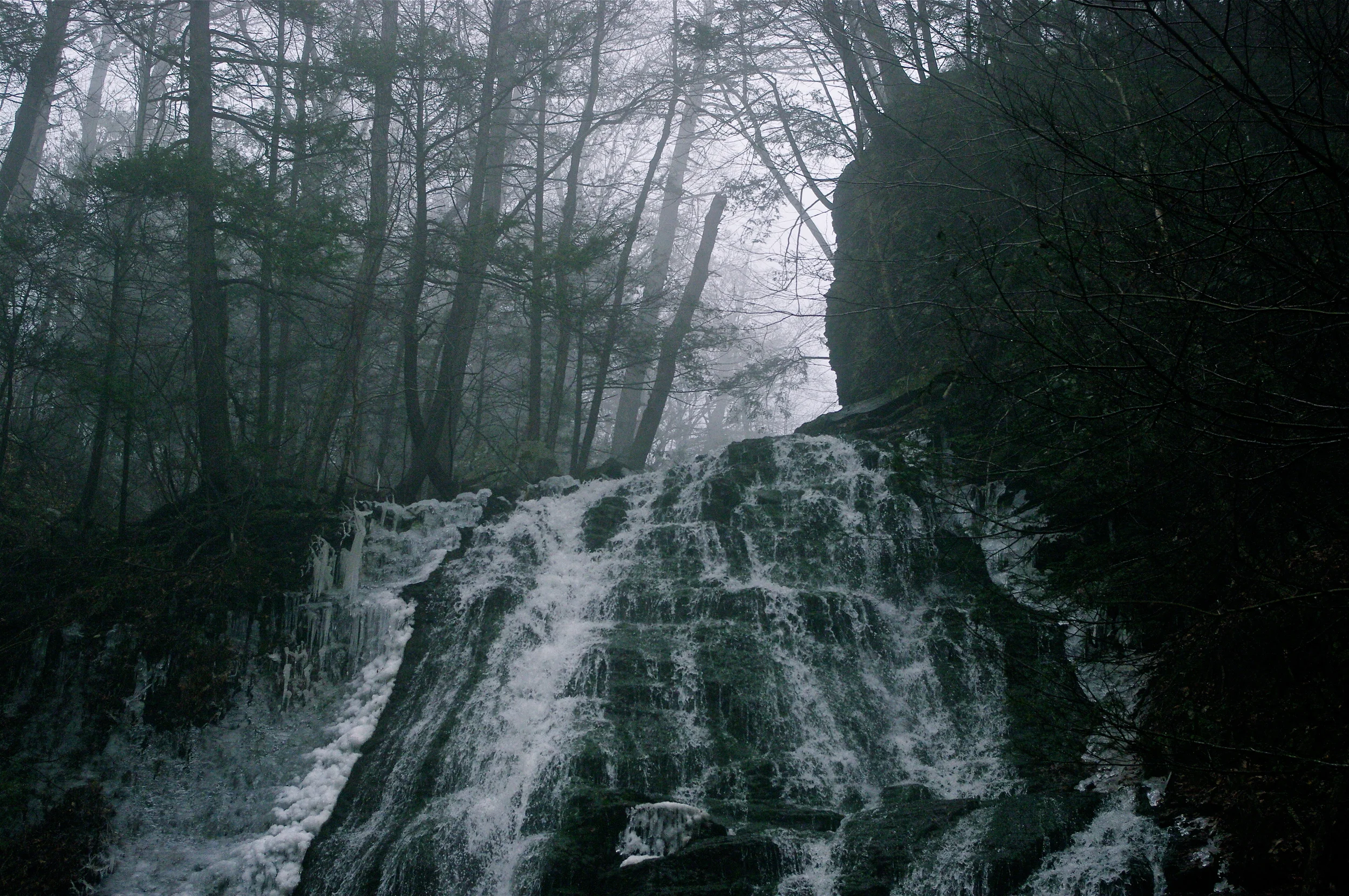 4 Fall From Grace.JPG