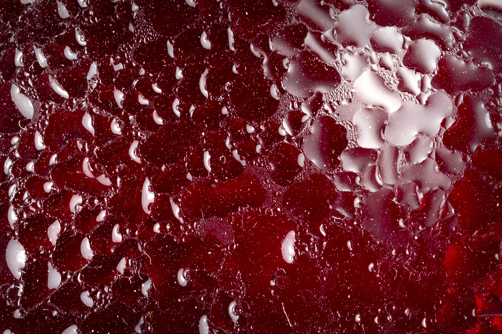 DSC00627_RASPBERRY_1.jpg
