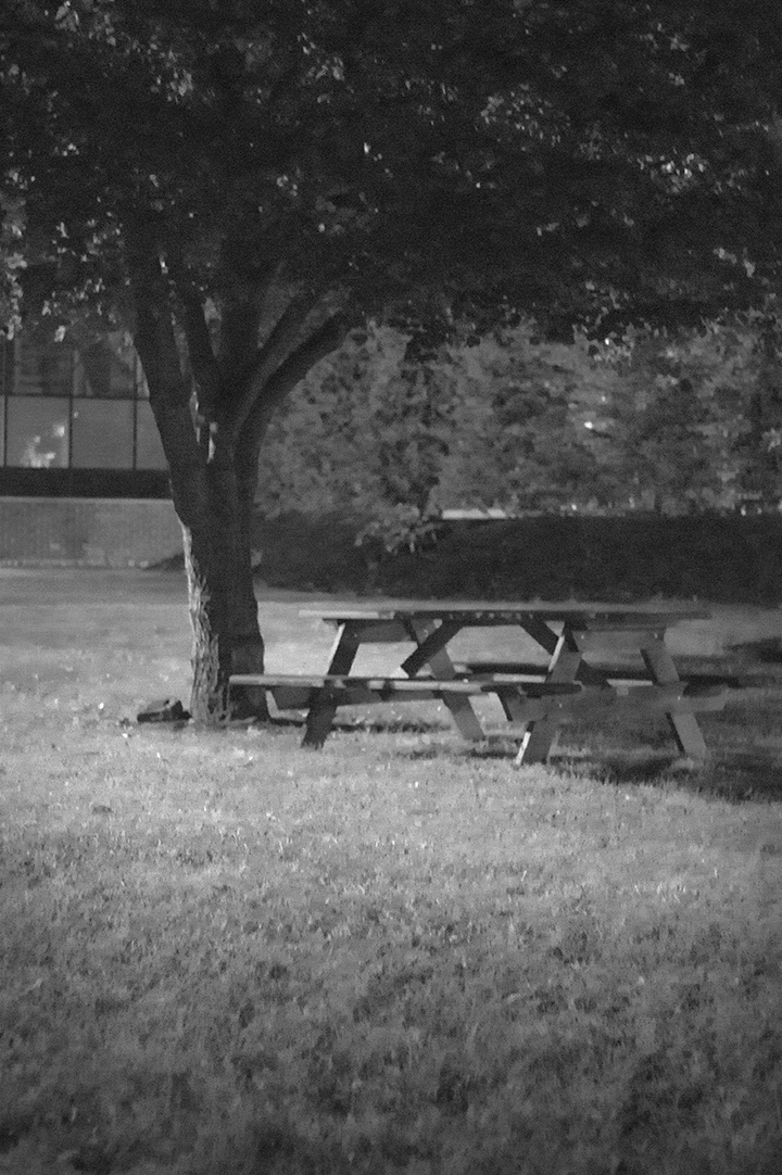 DSC03079_NightTreePicNicTable_01.jpg